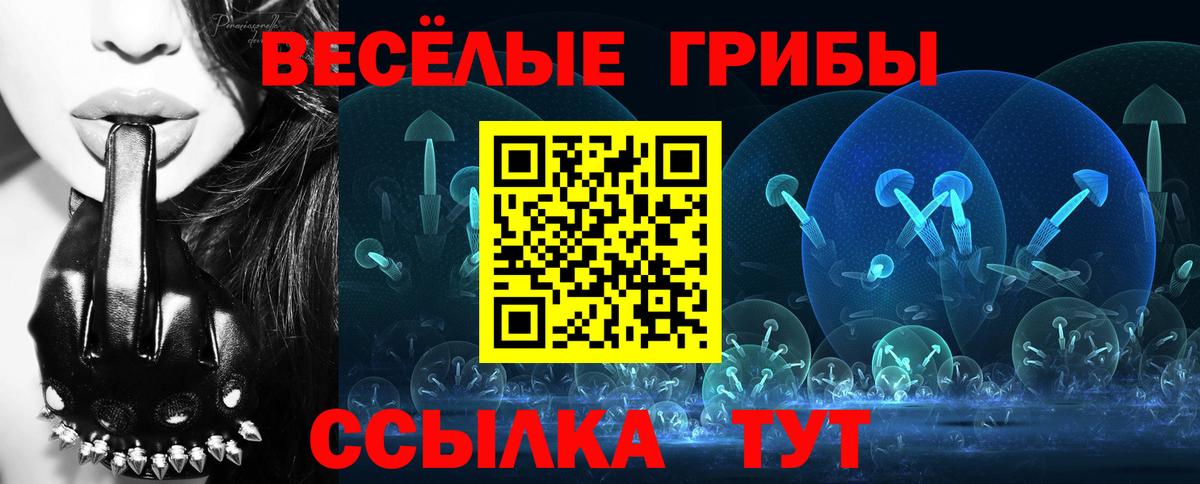 Галлюциногенные грибы Cubensis Карасук